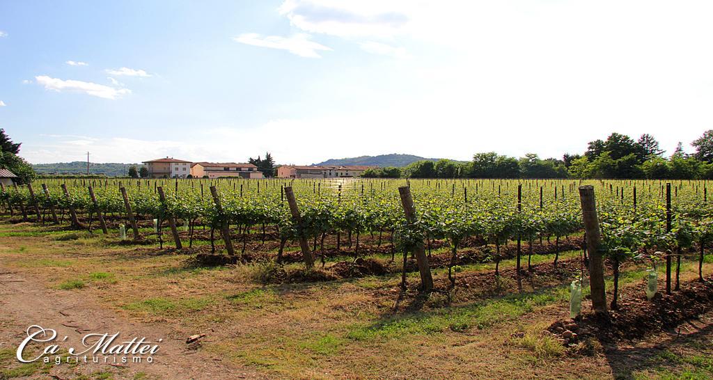 Agriturismo Ca'Mattei Пескантина Екстериор снимка